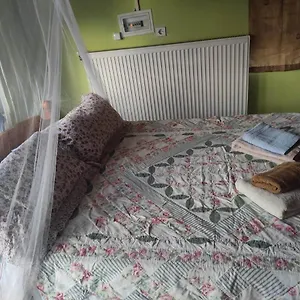 https://dimitra-studios.kefaloniahotels.net